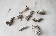 Load image into Gallery viewer, Vintage Sterling Silver Charms - charm bracelet, estate charms, hobby charms, landmark charms, nature charms, travel charms, moving charm